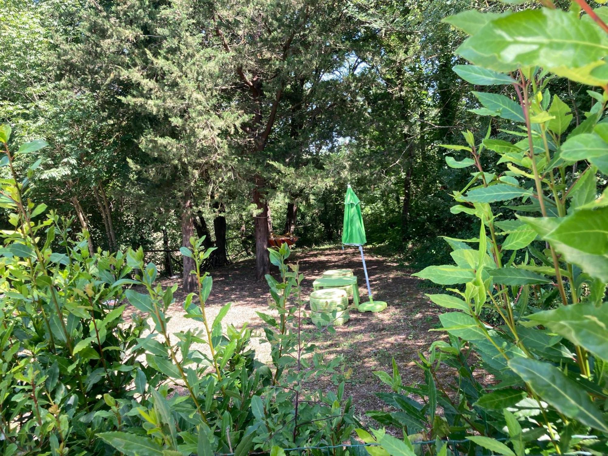 Agriturismo Le Colline モンテスクダイオ エクステリア 写真